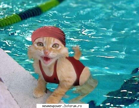 Funny Pics - Anna - Orice