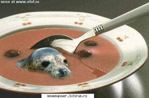 Funny Pics - nu cred k v-ati dori sa gustati aceasta supa - Orice
