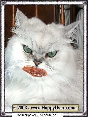 Funny Pics - layla - Orice