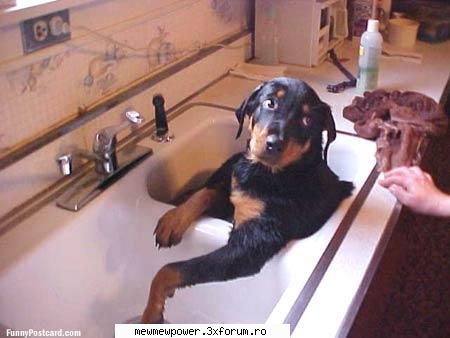 Funny Pics - Anna - Orice