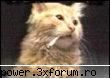 Funny Pics - ce-mi place asta - Orice