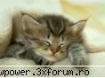 Funny Pics - unca una....ca sa mai radetzy... ...ei bine nu-i - Orice