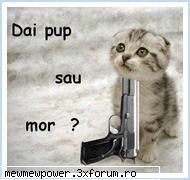 Funny Pics - ana_kurama - Orice