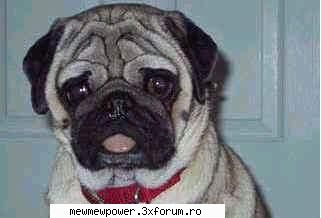 Funny Pics - nu prea imi plac da pun - Orice