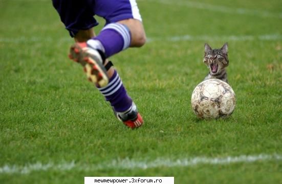 Funny Pics - ana_kurama - Orice