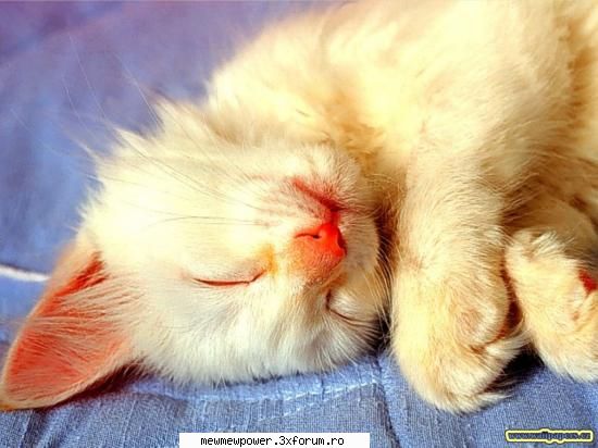 Funny Pics - ana_kurama - Orice
