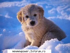 Funny Pics - ana_kurama - Orice