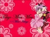 Personajul preferat - zoey deoarece este cea mai draguta si frumoasa - Mew mew power/Tokyo mew mew