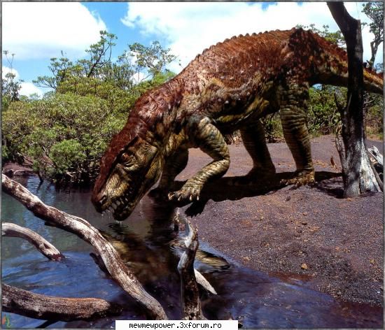 Poze cu dinozauri - da.mama mijto poza - Dinozaurii